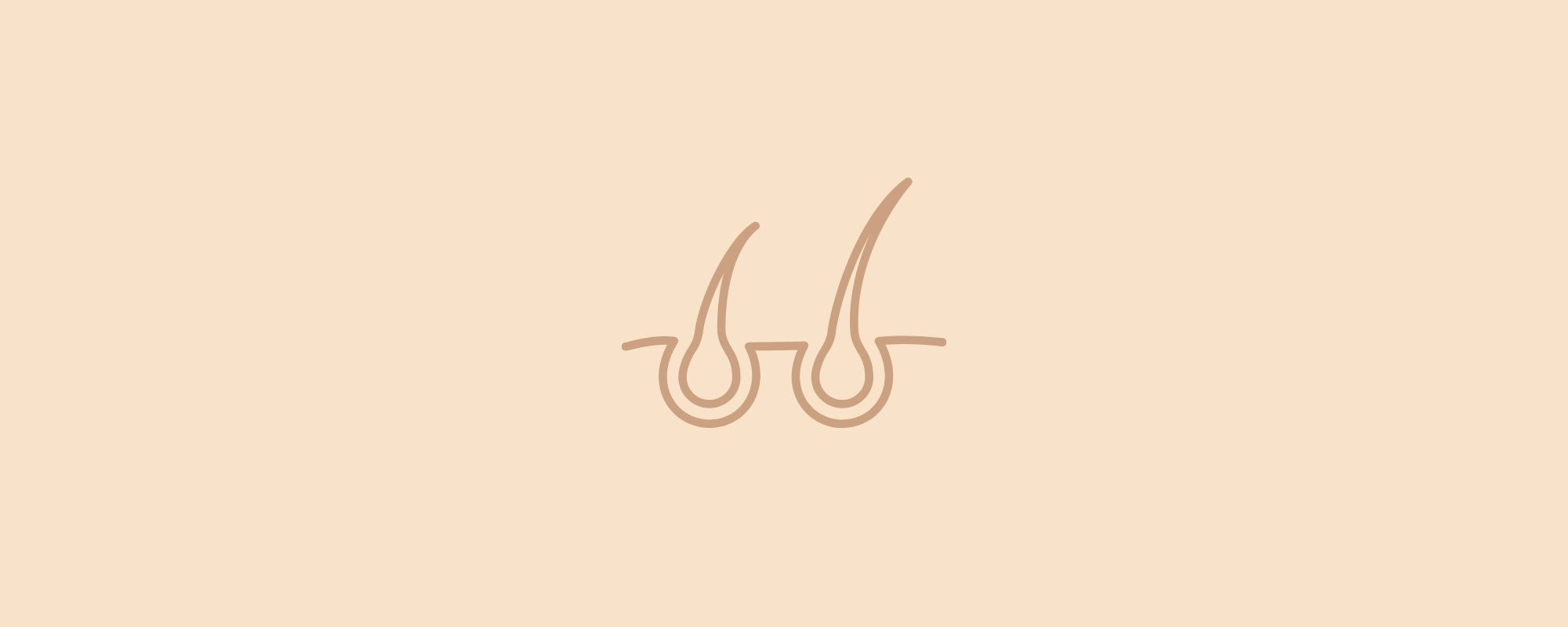 Hair Anatomy, Regrowth & The Importance of a Consistent Waxing Routine