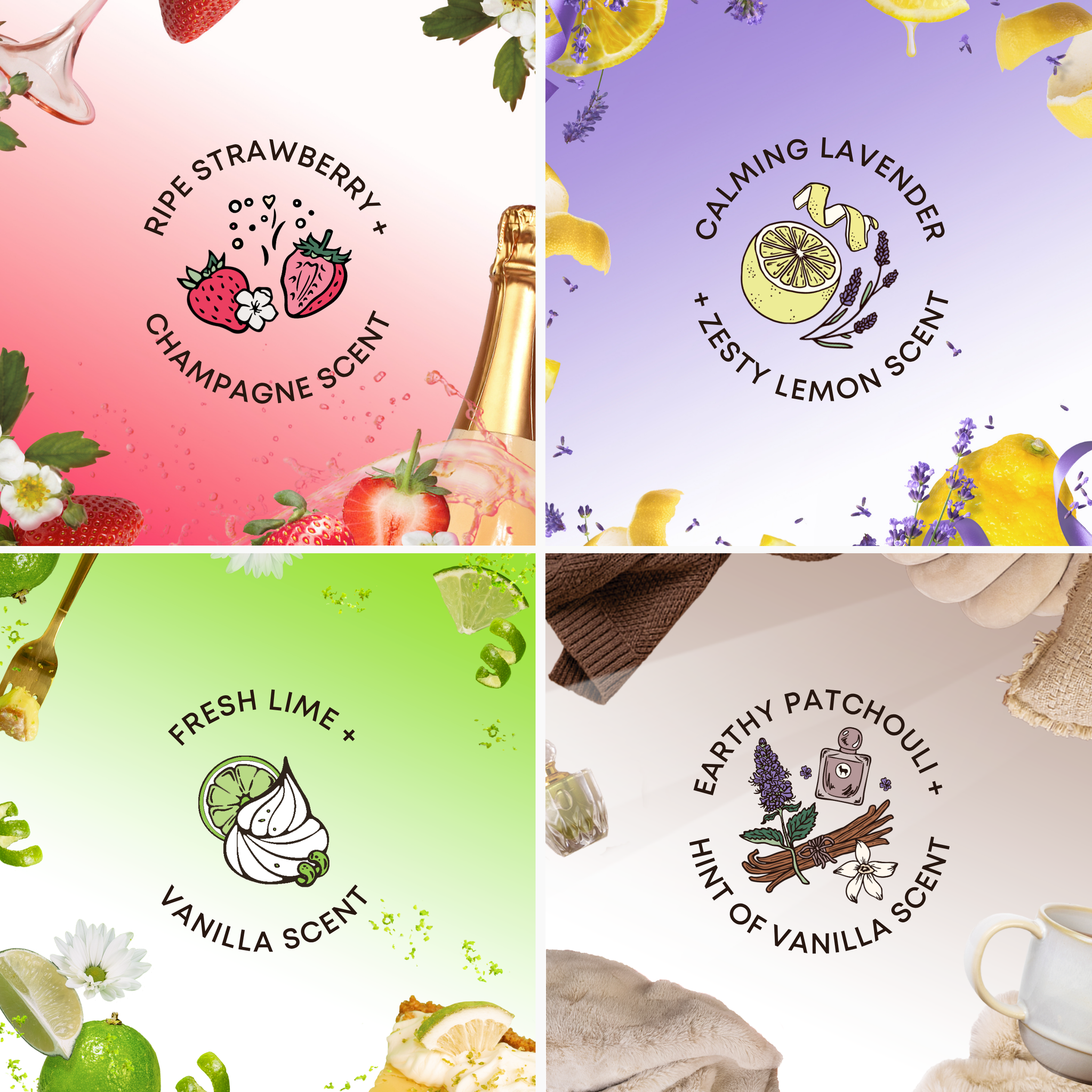 2025 Limited Edition 2-Step Set