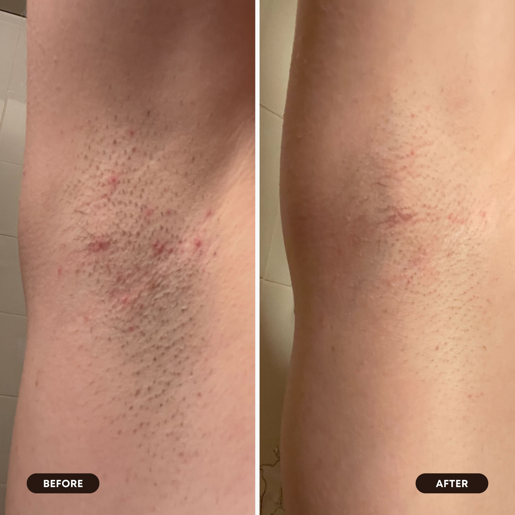 2025 Limited Edition Oil Set